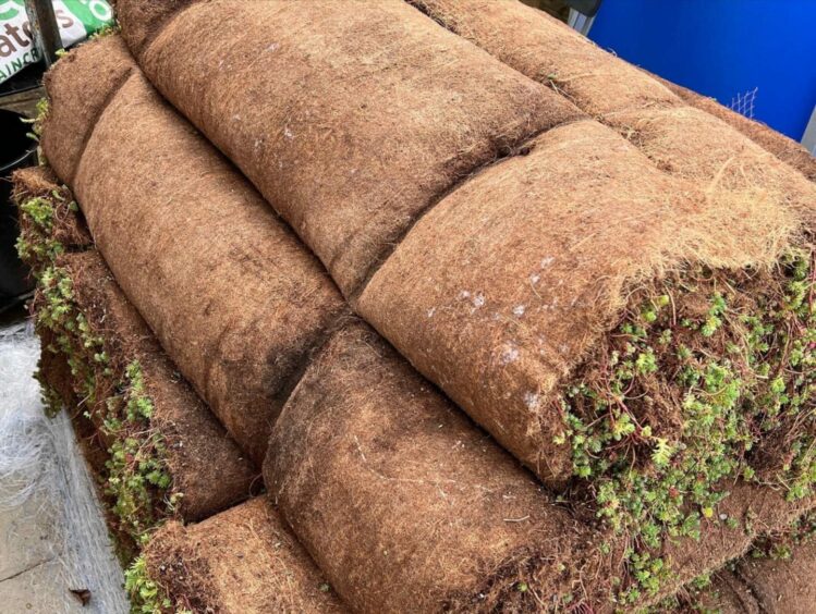 Bonnymuir Green Community Garden rolls of sedum