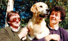 1991 - Top dog Britt was awarded challenge certificates at shows in Manchester and Malvern.