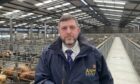 Andrew Gunn is ANM Group's new centre manager for the Caithness Livestock Centre.