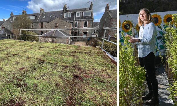 Bonnymuir Green Community Garden