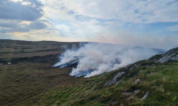 One in five burns were reported to have taken place in a National Park. Photo by RSPB Scotland