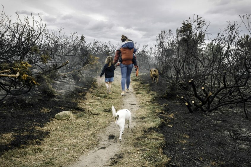 A woman with two children and two dogs walking along a path surrounded but burnt plants and bushes. World Photography Day
