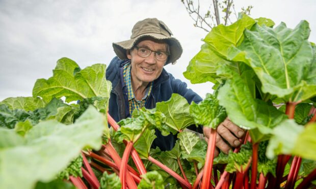 Bryan Hall has played a key role in creating the community garden at Inchgarth Community Centre.
