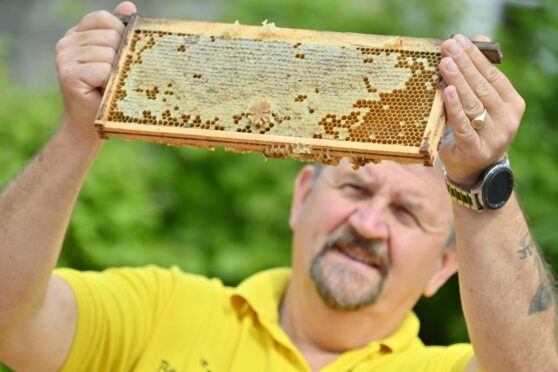 Colin Devine is determined to help people find out more about bees, and their importance for the enviornment.