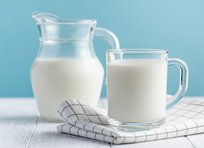 Banner of a glass of milk, a jug of milk on blue background.
