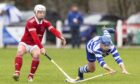 Mark Macdonald (Kinlochshiel) with Iain Robinson (Newtonmore) in the MacAulay Cup first round, played at The Eilan, Newtonmore.