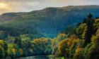 Magical autumn colours on the banks of the River Tay taken from Dunkeld Bridge. Steve MacDougall / DC Thomson