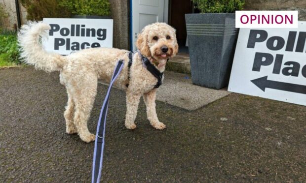 A furry face outside one of Aberdeen's polling station (Photo: Callum Main)