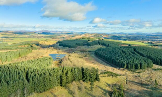 PRIME LAND:  West Tullyfergus is a forest estate with farmland and a man-made loch.