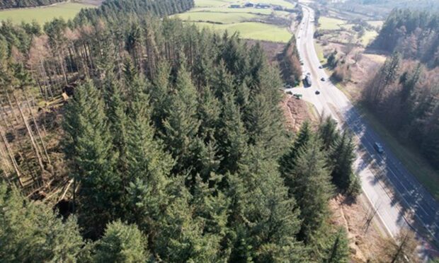 Part of the Kirkhill Forest were damaged during the period of bad weather in recent months. Supplied by Forestry and Land Scotland.