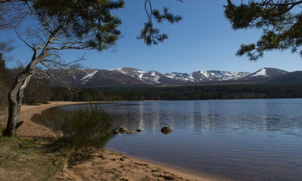 Loch Morlich