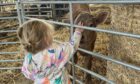Two-year-old Nancy already enjoys meeting the animals at the farm. Picture supplied by Balnault Farm.