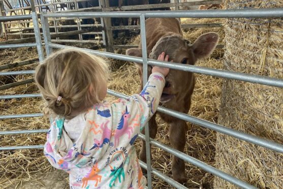Two-year-old Nancy already enjoys meeting the animals at the farm. Picture supplied by Balnault Farm.