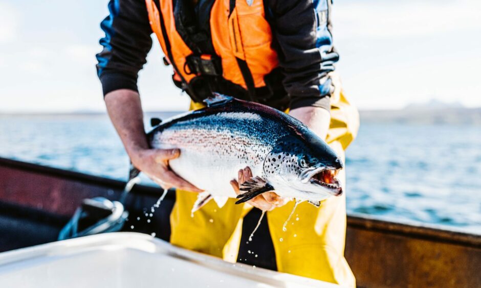 Scottish Sea Farms