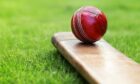 Cricket ball resting on a cricket bat on green grass of cricket pitc