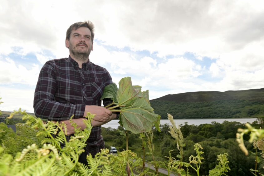 Kevin Grant of Historic Environment Scotland with rhubarb he spotted in an overgrown enclosure at Grianan.