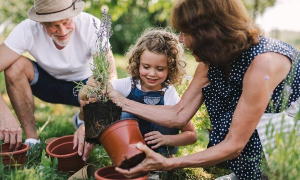 Gardening is a joy to hand down through the generations, but some techniques have to change.