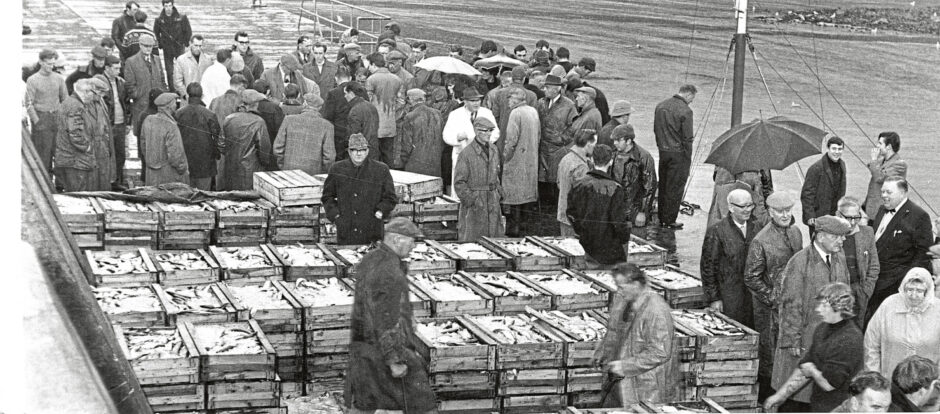 Boxes of fish being sold at Stonehaven harbour on a Saturday in 1966