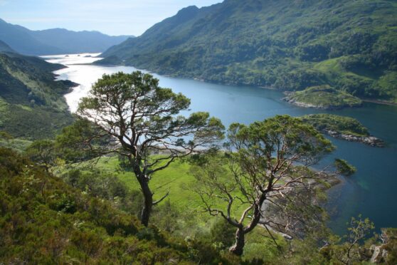 Councillors have refused a planning application to increase fish stocks at a farm on Loch Hourn. Photo: Shutterstock
