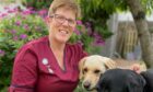 Going the extra mile: Ally Lister, a lead nurse manager in Moray Health and Social Care Partnership, says nursing was her calling. Here she is pictured her dogs Milo and Louie.