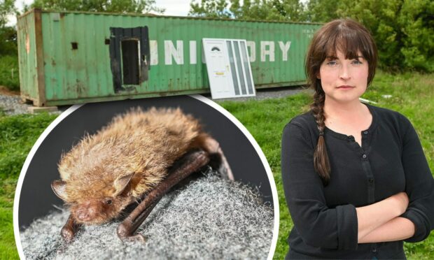 The Aberdeenshire woman building a ‘Bothy’ for poorly bats
