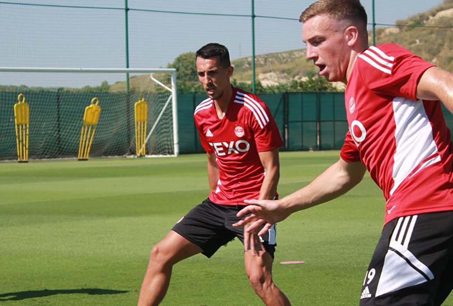 Bojan Miovski Aberdeen FC