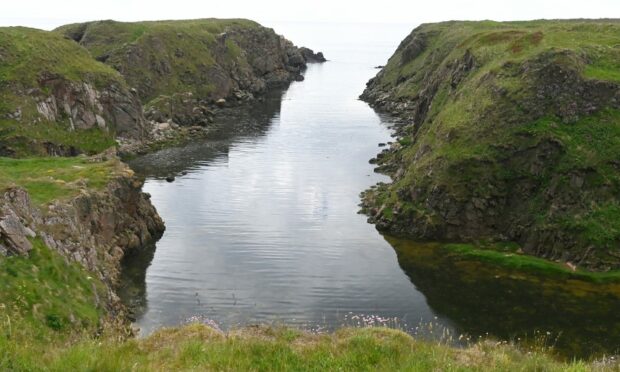 The pet fell from the cliffs at Slains Castle near Peterhead