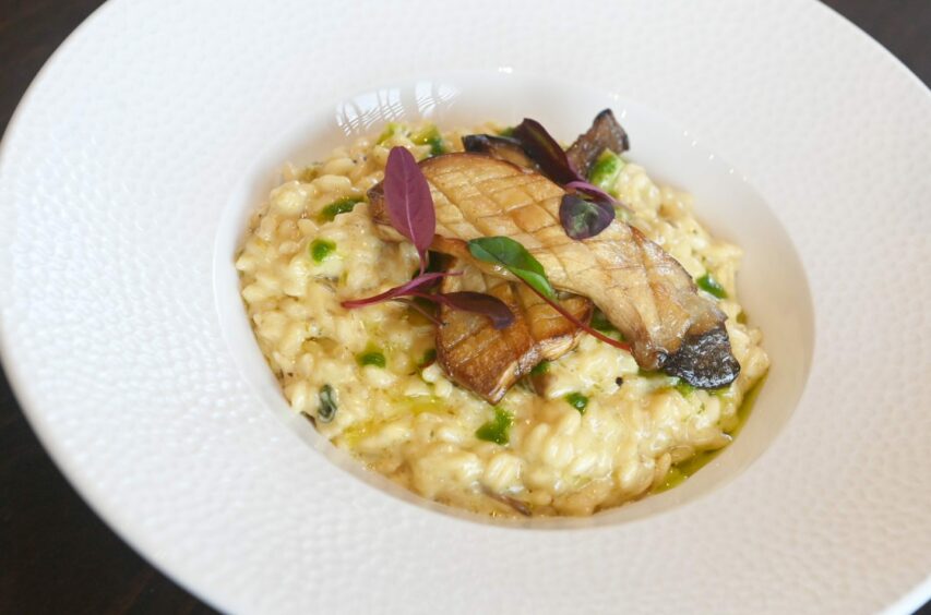 Wild mushroom and leek risotto with black truffle