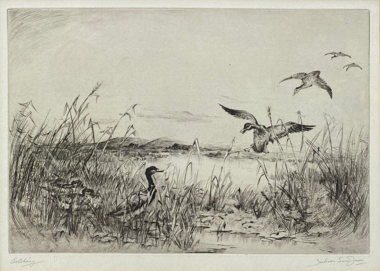 etching of ducks by a lake by Jackson Simpson, artist from Aberdeen