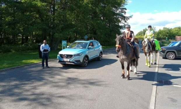 The report says horses can detect electric vehicles