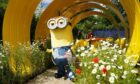 'Kevin the minion' dances to a set by DJ Fromage in a garden entitled 'The Minions Garden' at a preview of the Bord Bia Bloom garden festival which opens in Phoenix Park in Dublin tomorrow. Picture by PA.