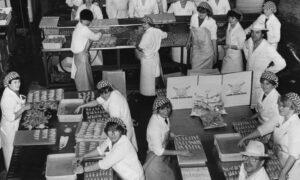 1985- Staff busy at work at Claymore Shellfish in the Harlaw Industrial Estate.