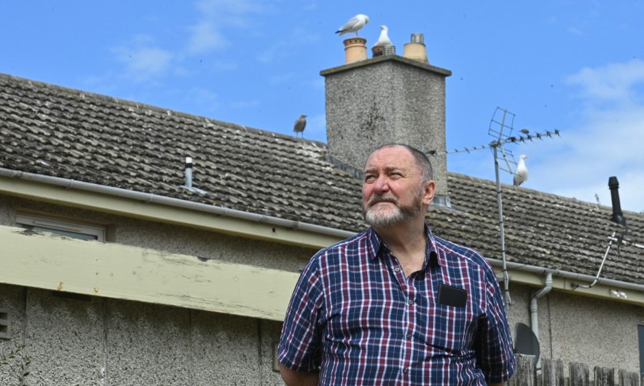 John Divers with gulls on roof behind.