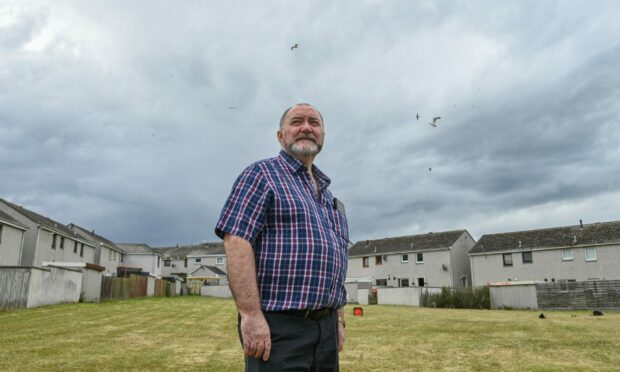 Councillor John Divers says dealing with gulls has been a constant priority for communities. Image: Jason Hedges/ DC Thomson