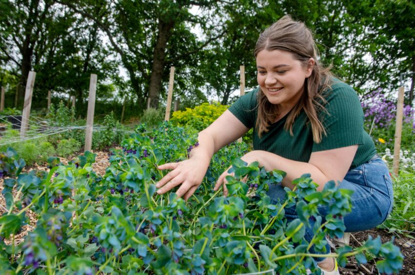 “If I had to pick a favourite flower, I’m definitely a tulip girl!” Natalie Drew.