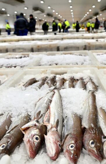 The fish market in Peterhead, Europe's largest white-fish port.