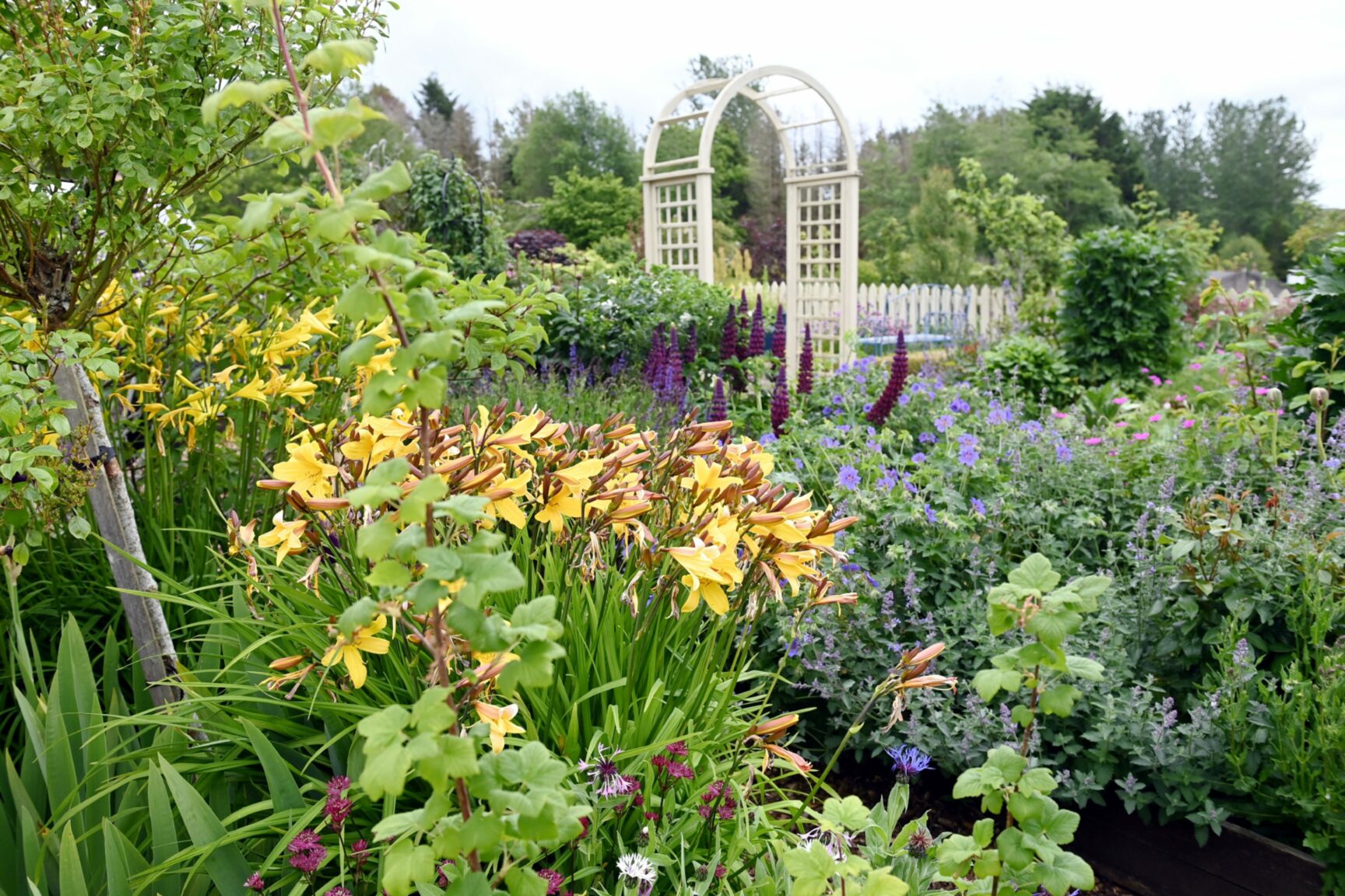 could-you-be-beechgrove-garden-s-new-head-gardener