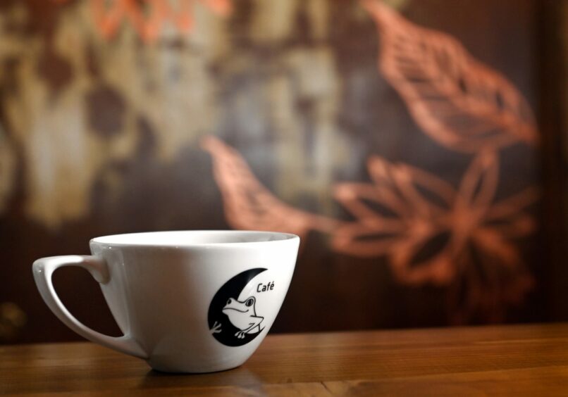 A Frogmoon Cafe coffee cup.