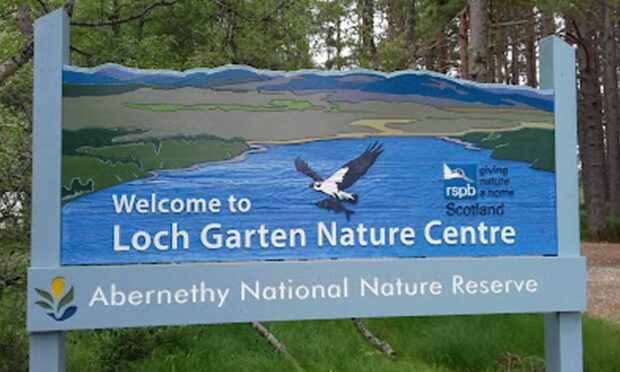 Two osprey chicks were born at Loch Garten last month; the first of their kind to be born at the reserve since 2018.