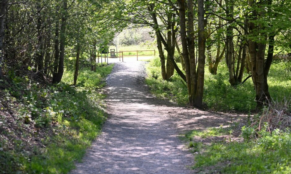 Parts of the Deeside way are well-shaded with leafy trees. Picture by Darrell Benns
