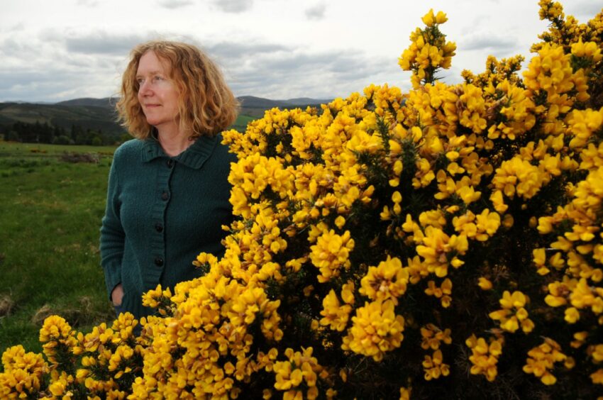 Cynthia in 2008 standing next to a bush with yellow flowers