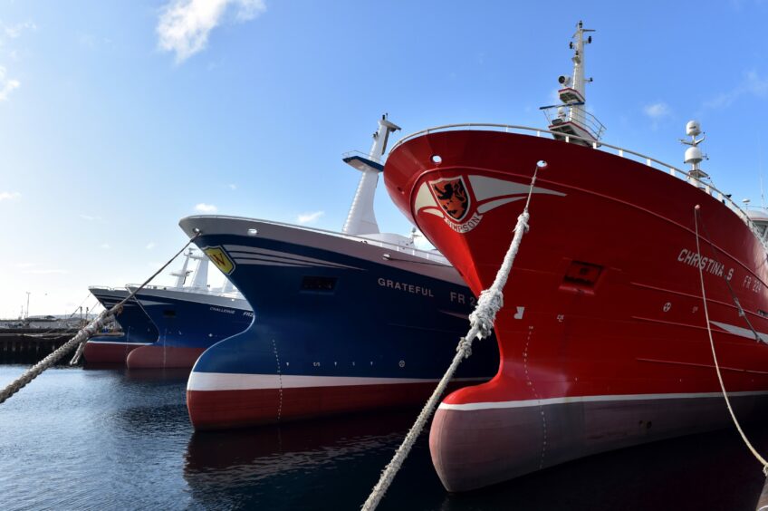 Pelagic vessels in Fraserburgh harbour.