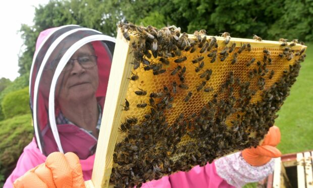 Training beekeepers is labour of love for retired Nairn neonatal nurse