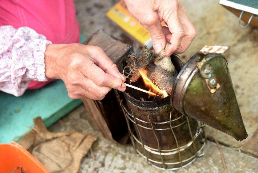 A smoker used in beekeeping.