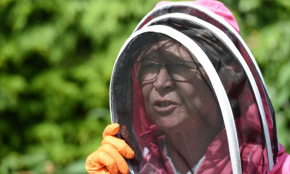 Beekeeper Ann Chilcott in her garden with her protective suit.
