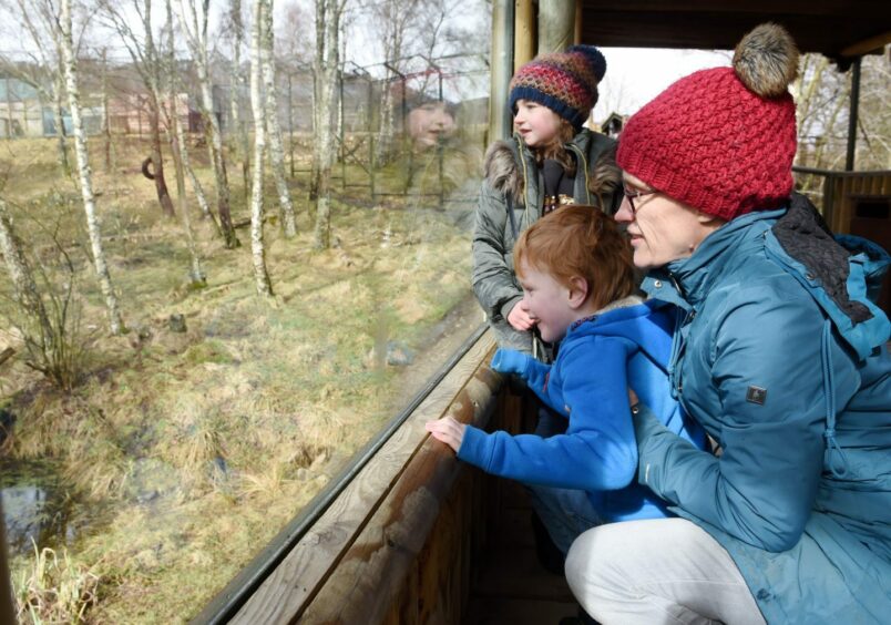 Amy Holtby with her son, Archie, and his friend Amelia Clark take in the sights of the Highland Wildlife Park as some of the first visitors following the Covid lockdowns.