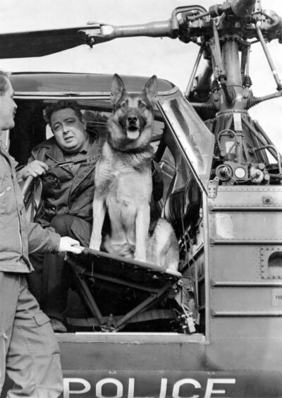Sandy, an Inverness Burgh Police canine office made history when he became the first Scottish police dog to go on air patrol, in 1968
