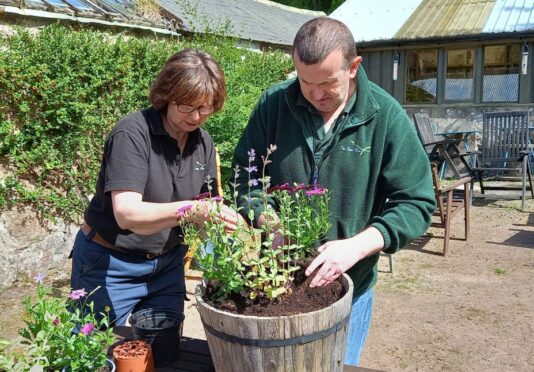 Sharon Esslemont helps co-worker Jonathan Anderson to fill a planter at the Seed Box