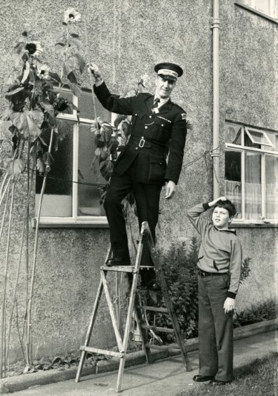 James Owen took on extra duties in 1980 when his grandson David McKervail planted a particularly vigorous sunflower seed in his back garden in Inverness