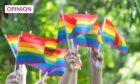 Pride flags being held up in the air during pride month